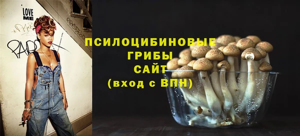 шишки Липки