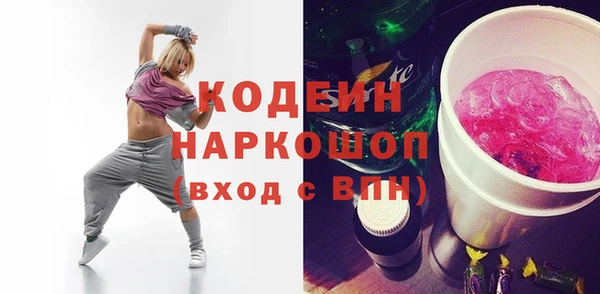 хмурый Лиски