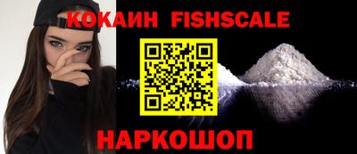 дмт Камышлов