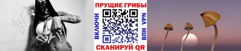 Псилоцибиновые грибы MAGIC MUSHROOMS  купить наркотик  Шали 