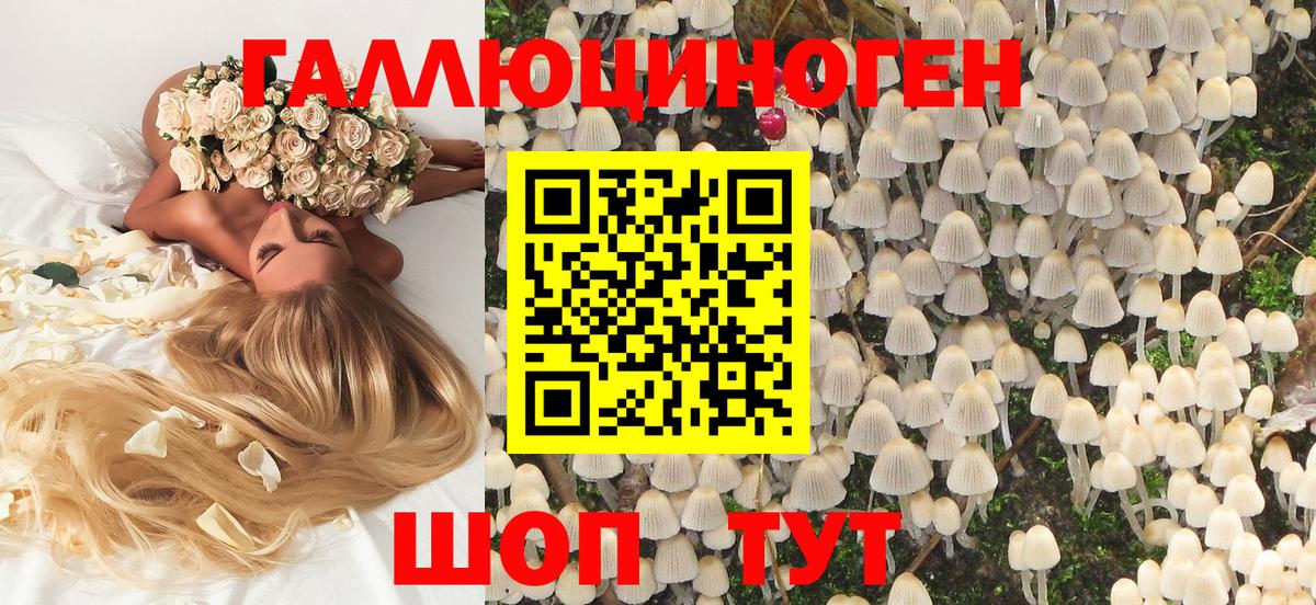 купить закладку  Псилоцибиновые грибы Psilocybine cubensis  Псилоцибиновые грибы ЛСД  Вход с VPN  Шали 