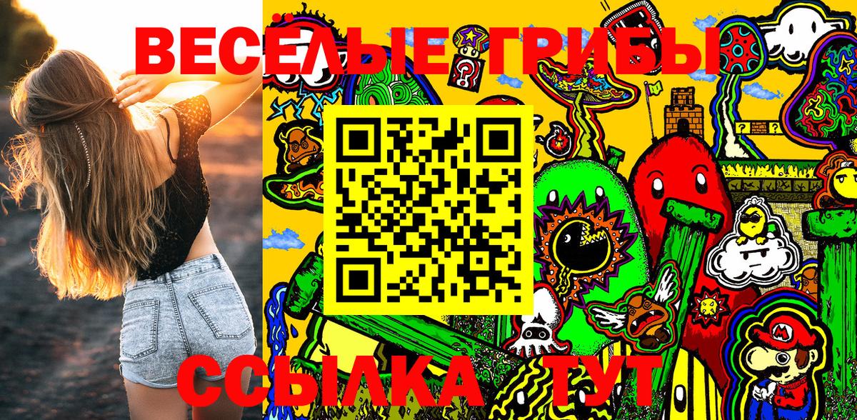 Псилоцибиновые грибы MAGIC MUSHROOMS  Галлюциногенные грибы Cubensis  Шали 