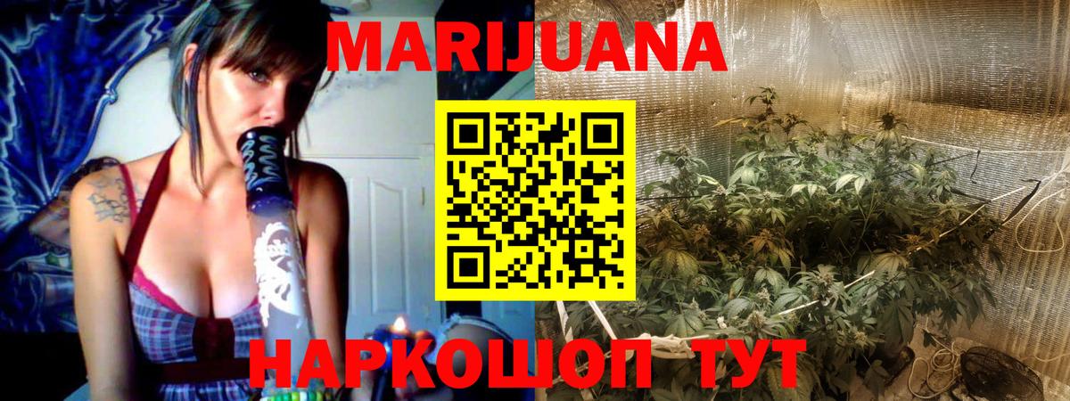 Шали  Канабис план  Вход с VPN  Каннабис сатива  МАРИХУАНА марихуана 